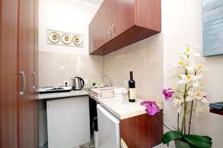 Апартаменты Studio Apartman Sveti Stefan Свети-Стефан Номер-студио-4